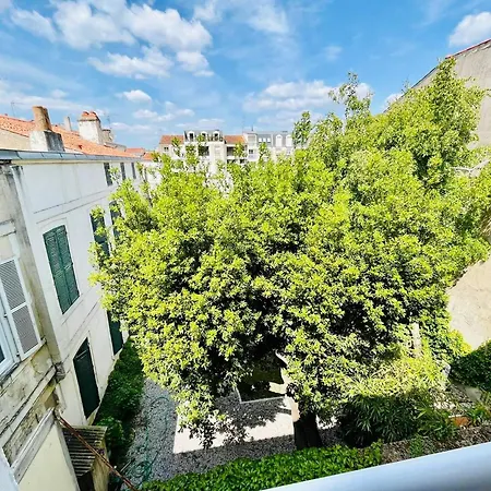 Apartment La Chaloupe - Terrasse Et Wifi